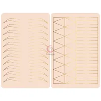 Newest Design Ombre Powder 2 Sided Skin Silicone Tattoo Practice Skin Pink thickness for PMU Tattoo and Microblading Training320f