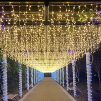 Świąteczna lampa dekoracyjna Lampa na zewnątrz Lampa Lampa Wedding Wedding Project Up Star Color Lights Festival String