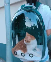 Astronauta de alta calidad mascota gato perrito portador de cachorro Bag Space Capsule al aire libre mochila portátil transparente transpirable D5713151