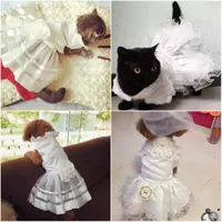 Hundkläder olika lyxiga prinsessor husdjur bröllopsklänning katt valp kjol kläder tutu brud dräkt levererar xs till 4xl