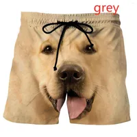 Shorts masculinos 2022 Moda Pets Dog Casual 3D Impresso Summer Men Funny Funny Animal