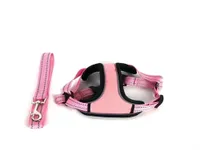 Designer Pet Telases Out Halking Dog Harness Leash Set Brand tira de peito de capital Durável Pets de alta qualidade Supplies8180135