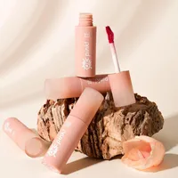 Lip Gloss Velvet Matte Liquid Lipstick 6 Color Moisturizing Waterproof Lasting Stick Pink Cherry Red Tint Mud Cosmetics
