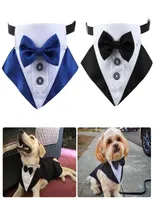 بدلة Tuxedo ملابس الكلاب و Bandana Set Pet Party Party Bow Tie Shirt للكلاب الكبيرة المتوسطة Golden Retriever6600622
