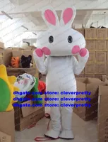 Mascot Costume Moon Festival JadeRabbit Bugs Rabbit Hare Easter Adult Cartoon Character Television Theme Mise En Scene zx2869