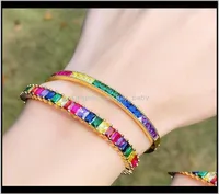 Design de jóias Dainty CZ Bracelets de arco -íris para mulheres Cristal Gold Charm Big Bangle Jewelry Great Drop Delivery 2021 DR3960596