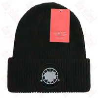 Дизайнерская вязаная шляпа Ins популярные зимние шляпы Классическая буквация для печати вязаные кепки Ski Outdoor Wind -Ray и теплый 9 Colos