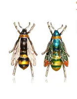 Komik küçük arı broş kadın inci rhinestone hardigan takım broşlar pim boyunlu aksesuarlar hediye gc14338595752