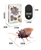 Electric Toy Halloween Gift Infrared RC Remote Control Animal Toy Kit for Kids Adults Smart Cockroach Spider for Halloween Toy Y207060376