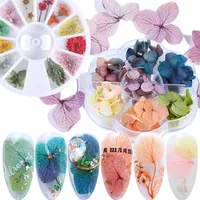1 Rad getrocknete Blume 3D Nail Art Decoration Gradient nat￼rlicher Bl￼ten Aufkleber f￼r UV-Gel-Polnisch-Manik￼re-Zubeh￶r Tipp ly1524-1204l