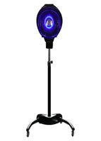 Infrarot Climazon Accelerator Professioneller Salon -Haartrockner -Farbverarbeitungsprozessor 1200W Ultraviolett Blau Licht Stehung 6163902
