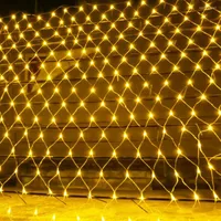 Stringhe Trisdar LED LED LAGUE NETTO MEGHT 2 2M 3 6 4M GARLANDA FAITA DI NATALE LUCE