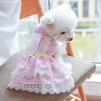 Hundkläder Daisy Designer Klädflicka klänningar spetskant sommarfjäder tutu kjol för kattungar söt rosa prinsessan katt husdjur kläder