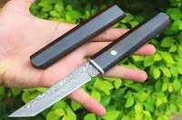 Survival Straight Knife VG10 Damascus Steel Tanto Point Blade Ebony Handle Fixed Blade Knives With Wood Sheath8978757