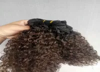 Indian Human Virgin Hair Waft ombre 1B4 Brown Curly Weaves Double Drawn 100g One Bundle2612528