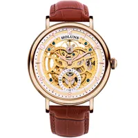 automatic mechanical men watch stainless steel Sapphire leather horloges mannen 2019 holuns Special luxury bigest dial skeleton BR241K