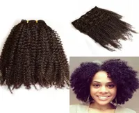 Cabello peruano Afro Kinky Curly Clip in Human Hair Extension for Black Women 7 PCSSET FDSHINE Hair4570681