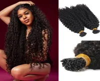 Afro Kinky Curly I Tipp menschliche Haarextension Jungfrau Brasilianer Keratin vorgebundenes Stock Mikrolinks Itip Natural Black 100g6293623