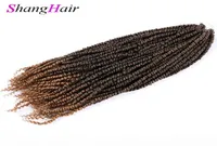 Bomba preed sint￩tica Cabello de primavera de 24 pulgadas Pasi￳n S cabello de crochet 100g PC Traduceno sint￩tico Extensiones de cabello Passio2163474