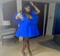 Royal Blue Plus Size Mini Tulle Tutu Robe Deep V Neck Birthday Party Poot Poot Shoot Tulle Gowns Yong Girls Prom Dresswear9613993