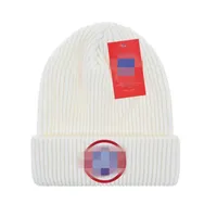 デザイナービーニーニットハットインシン人気カナダ冬の帽子クラシックレターグースプリントニットキャップ24