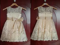 Lace Flower Girls039 Dresses Jewel Neck Hollow Back Bow Sash Champagne Little Girls039 Birthday Party Gown Custom Made G11915994