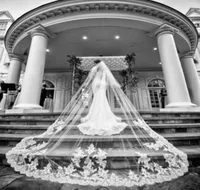 Соборная часовня Ivory White Wedding Wedding Bridal Veils Lace Simple с Comb Bride 2t 3M индивидуально 3203747