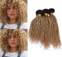 1B27 Honigblonde Ombre Kinky Curly Human Hair B￼ndel 3pcs Schwarze Wurzel hellbraun Ombre Brasilianische jungfr￤uliche menschliche Haarwebe Wefts1564390
