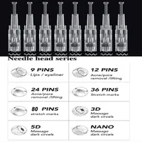 Home Beauty Stamp Dr Pen Cartridges Types pour la perte de cheveux Ensemble Dermapen Nano aiguilles PMU MTS 1 3 5 7 9 12 24 36 42 N2 PIN