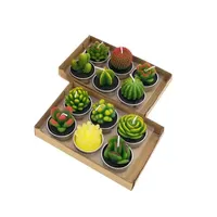 12pcs cactus kaarsen schattige mini set kunstmatige sappige planten kaarsen kaarsen huisdecoratie kaarslicht kerstmis cadeau247u