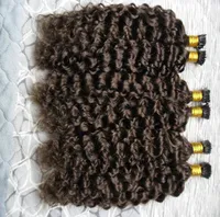Fusion human hair extensions 2 Darkest Brown brazilian virgin keratin hair extension i tip curly hair extensions 300gstrands6266274