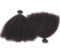 Brasil Afro Kinky Curly Human Hair Bundles sin procesar Remy Hair Weaves Double Wefts 100GBundle 2 Bundlelot Hair Extensions8017976