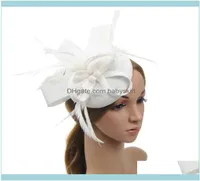 Aessories Araçları Ürün Yolu Tüy büyüleyici Düğün için Zarif Pillbox Şapka Hediyesi Net Head Band Meapwear Cockt3334777
