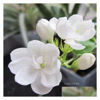Other Garden Supplies Garden Supplies Jasmine Seed Balcony Indoor And Outdoor Potted Four Seasons Easy To Live Aromatic Plants Peren Dhk5L