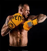 SOTF боксерские перчатки Viper Tiger Muay Thai MMA Fighting Pu Karate Sanda Pad Box 2202225851821