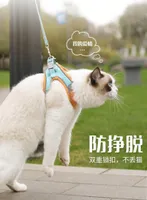Collars Cat Leads Traction Rope Antibreakaway Veststyle Correa de cofre Slip Pet cadena saliente especial