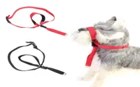 Cat Collars Leads Leash Dog Adjustable Harness Puppy Dogs Collar Nose Ring Quicksnap Neck Strap For Walking Training