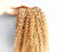 Brazilian Human Virgin Remy Kinky Curly Hair Extensions Dark Blonde 27 Color Hair Weft 23Bundles For Full Head4875038