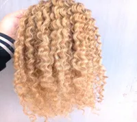 New Arrive Brazilian Human Virgin Remy Curly Hair Extensions Dark Blonde 27 Color Hair Weft 23Bundles For Full Head5910997