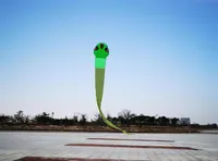 Змеи змеи 40 м 3D воздушный змей красочный скелет длинный хвост легко летать пляжные воздушные змеи на открытые спортивные игры226U