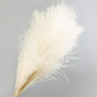 10pcs per lot artificial reed dried flower bouquet wedding home decoration ins favourite party decorations dried fake grass flowers257p