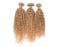 Honigblonde versaute lockige Haarverlängerung 27 Erdbeerblonde Afro versauter menschliches Haarwebe 3pcslot schnell 2360927