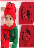 Güzel Bebek Men039s Eşarp ve Şapka Seti Kış Kapağı 80cm Scarve 2pcs Set Moda Noel Hediyesi Ladybird Kırmızı Renk Pamuk 5pcs7952117