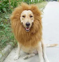 Cat Costumes Cute Pet Cosplay Clothes Lion Mane Transfiguration Costume Winter Warm Wig Large Dog Party Decoration With Ear Appare