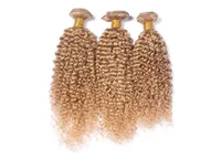 Honigblonde versaute lockige Haarverlängerung 27 Erdbeerblonde Afro versauter menschliches Haarwebe 3pcslot schnell 2905473