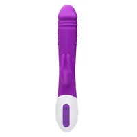 L12 Massagegeräte Sexspielzeug lila Silikon Kaninchen Vibrator wiederaufladbar G Spot leistungsstarke vibrierende Dildo -Klitoris -Massaget -Sexspielzeug für Frauen