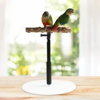 Other Pet Supplies Parrot Desktop Stand Adjustable Pet Bird Training Stand Wooden Retractable Perch Rack For Parrots Parakeets Bird Desktop Toys 221122