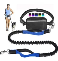 Dog Collars Leashes Hands Leash Traction Rope Pet Pocket Running TwoPiece Reflective3102637