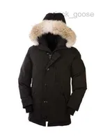 Kanada Down Parkas Kış Coat% 100 Gerçek Kurt Kürk Hoold Sıcak Doudoune Homme Coats Fabrikası Çin'de Clear Parka Goose 467