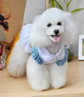 Süßer Haustierhund Welpe Kleid Spitze Bow Jeans Tutu Prinzessin Rock Appare WX